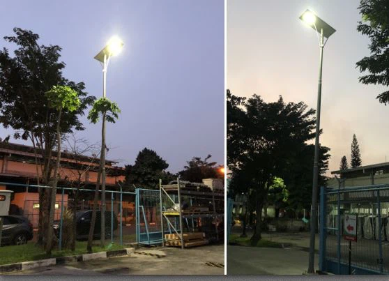 product-584-415 image